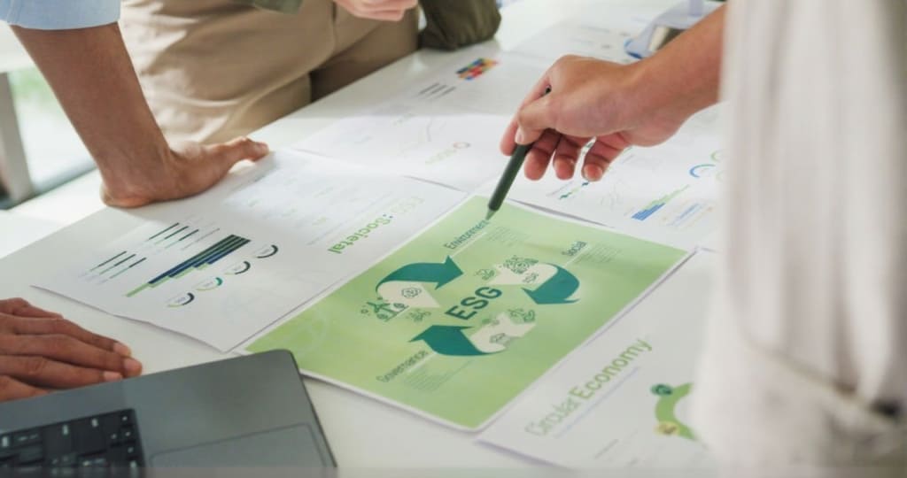 Последствия отсутствия экологического сопровождения 